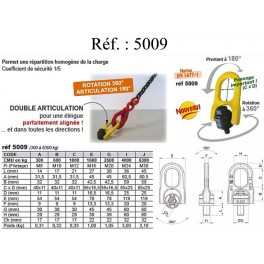 ANNEAU DE LEVAGE ARTICULE